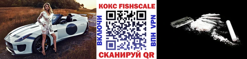 Cocaine Fish Scale  продажа наркотиков  Исилькуль 