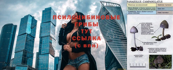 прущий лед Алзамай