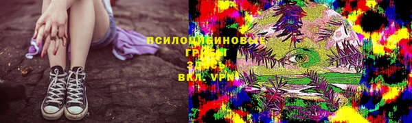 прущий лед Алзамай