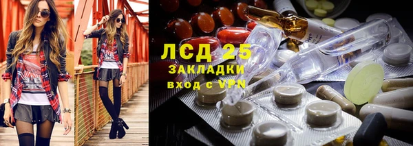 прущий лед Алзамай