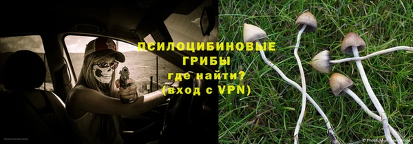 прущий лед Алзамай