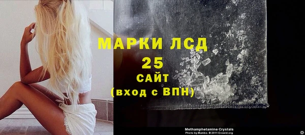 прущий лед Алзамай