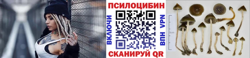 Псилоцибиновые грибы Cubensis Исилькуль